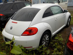  Nr._014_4_VW_Beetle.JPG