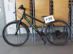  Nr._039_Mountainbike_Tecnobike__Mindestgebot_40_Euro.JPG