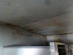  WC_Container_Beispielsbild__17_.JPG
