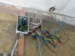  Beispielscontainer_entkernt__9_.JPG